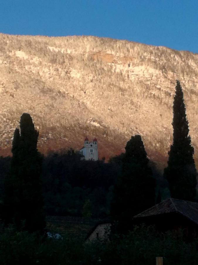 Apartmán Ansitz Jenner Appiano Sulla Strada Del Vino Exteriér fotografie