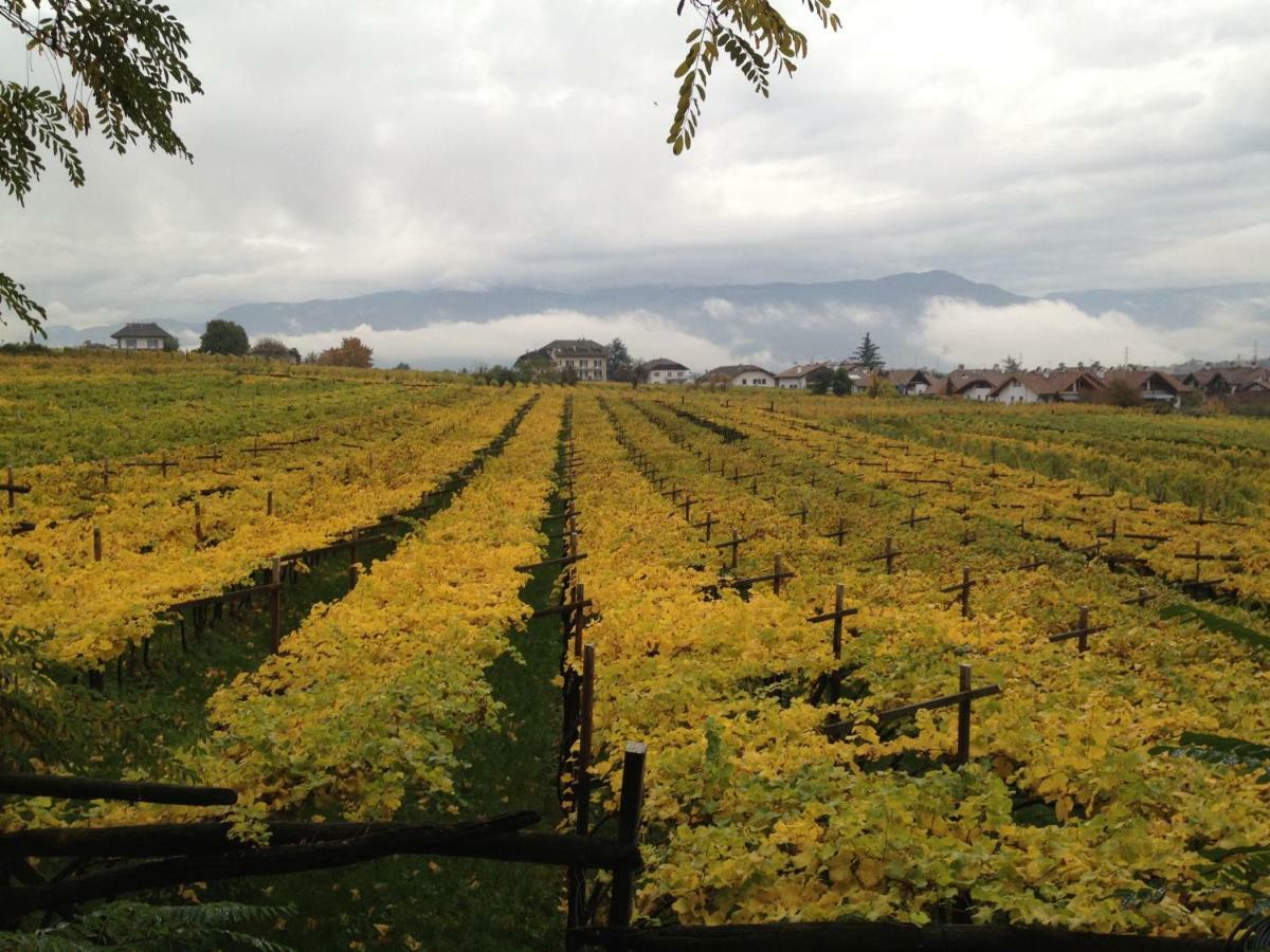Apartmán Ansitz Jenner Appiano Sulla Strada Del Vino Exteriér fotografie
