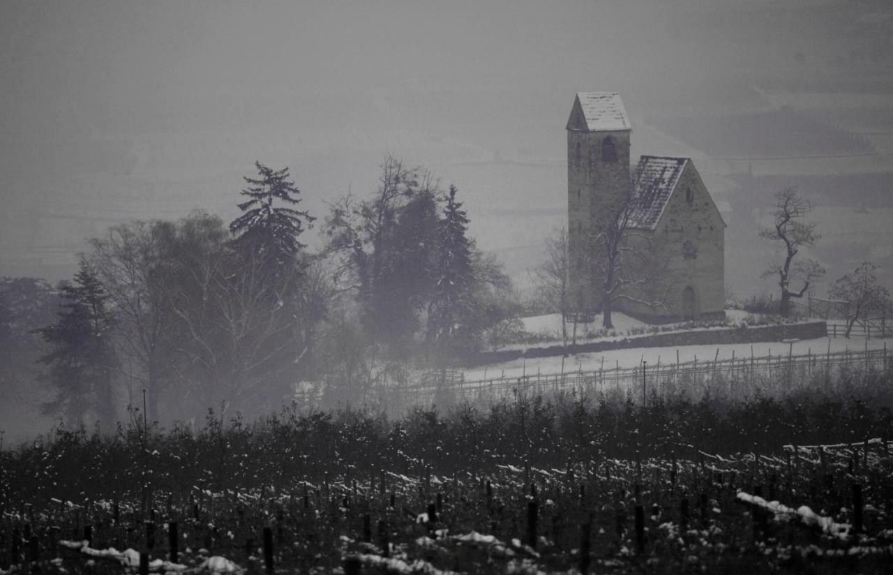 Apartmán Ansitz Jenner Appiano Sulla Strada Del Vino Exteriér fotografie
